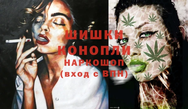 spice Абаза