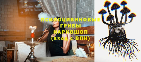 spice Абаза