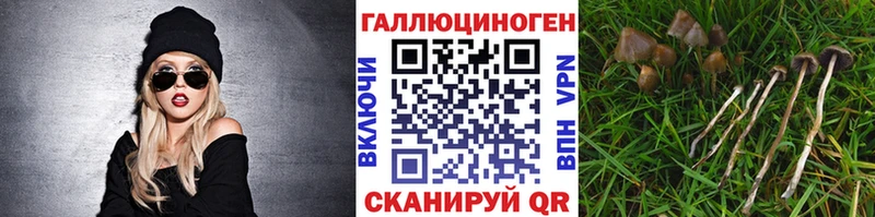 продажа наркотиков  Абдулино  hydra онион  Псилоцибиновые грибы ЛСД 
